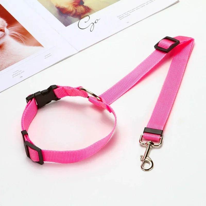 CEINTURE DE SÉCURITÉ RÉGLABLE POUR CHIEN & CHAT – FIXATION APPUI-TÊTE