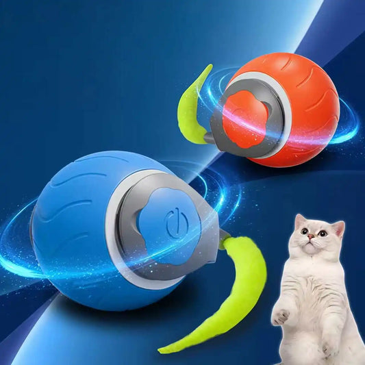 BALLE INTERACTIVE POUR CHAT